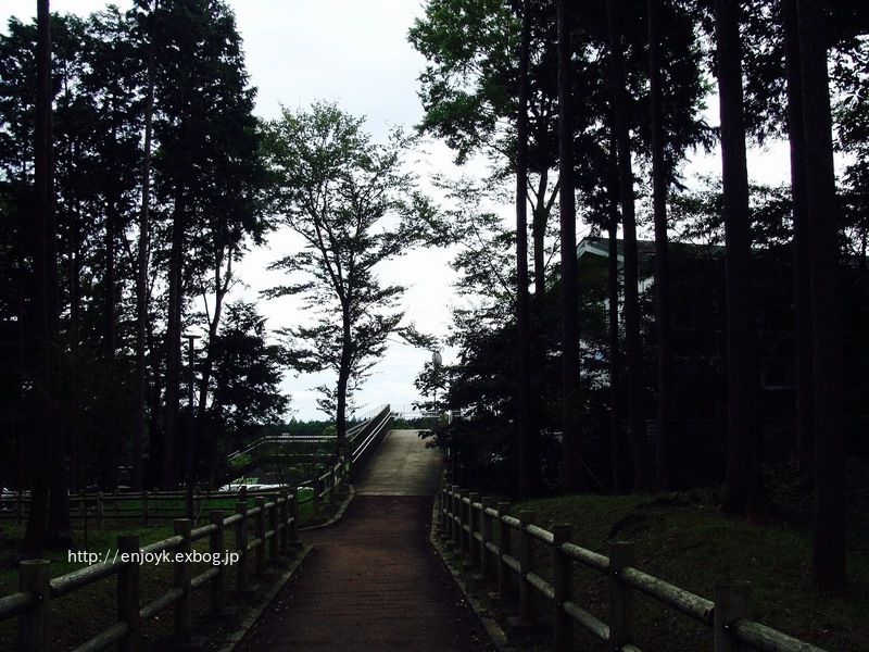 d0269832_07455516.jpeg