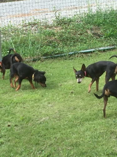 b0369239_16171606.jpeg