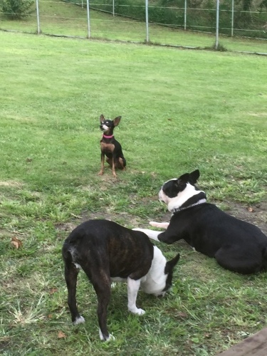 b0369239_16174538.jpeg