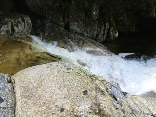 b0330040_14085320.jpeg