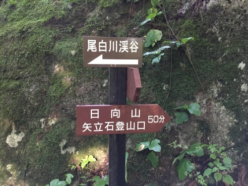b0330040_14392283.jpeg
