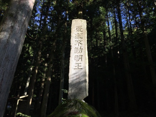 b0330040_14402669.jpeg