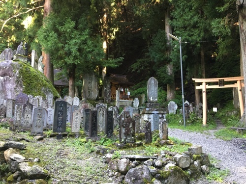 b0330040_14450064.jpeg
