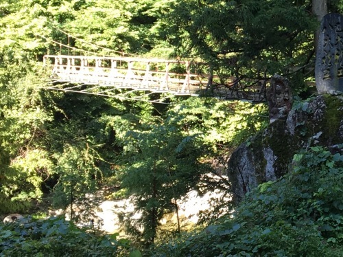b0330040_14462602.jpeg