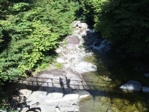 b0330040_14484956.jpeg