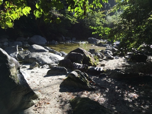b0330040_14541988.jpeg