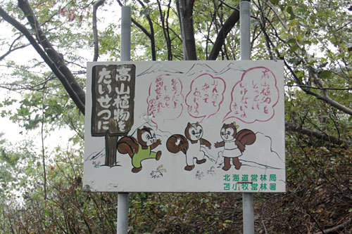 c0023443_13564148.jpg