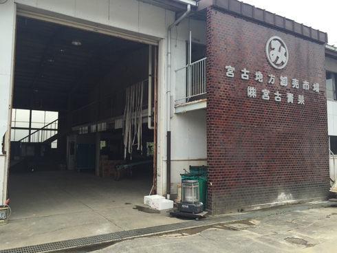 海だけでなく河川や森林との共存による復興整備の見直しを〜宮古市〜_b0199244_5524732.jpg