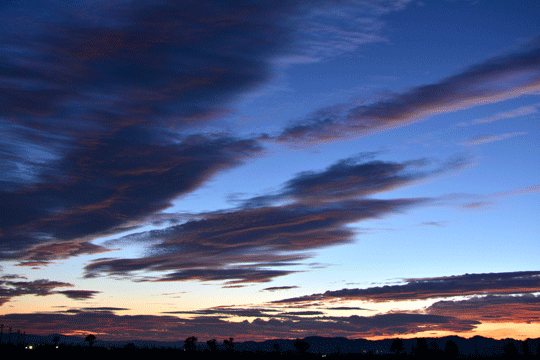 c0093046_8243645.gif