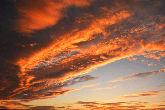 c0093046_825943.gif