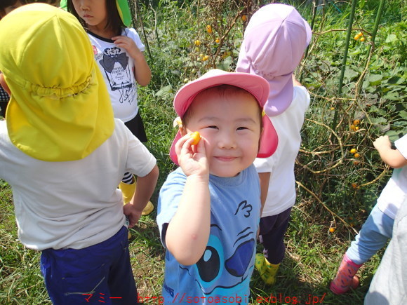 d0105749_21332171.jpg