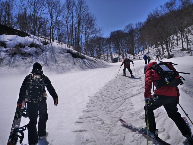 【滑走レポ　2016.3.22】 ロイヤルバックカントリーツアー（視察）に同行！！＠松之山温泉スキー場_e0037849_621643.jpg