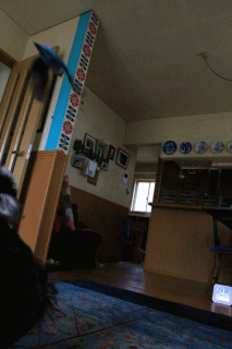 c0145250_10581812.gif