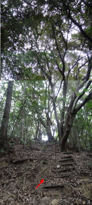 e0033751_18283854.jpg