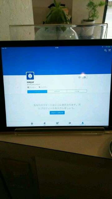 Twitterデビュー☆☆_c0165255_928535.jpg