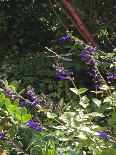 c0204555_14130576.jpg
