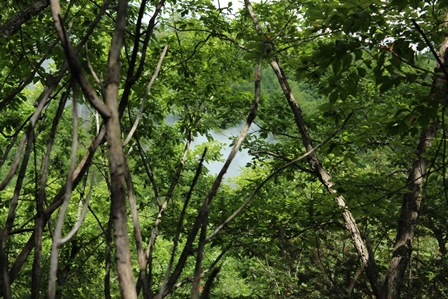 a0208560_13322390.jpg