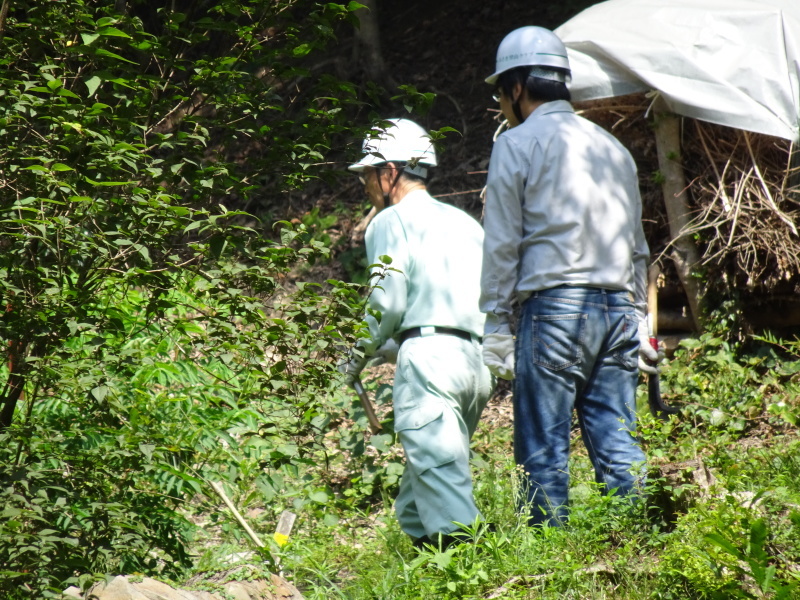 c0108460_20421676.jpg