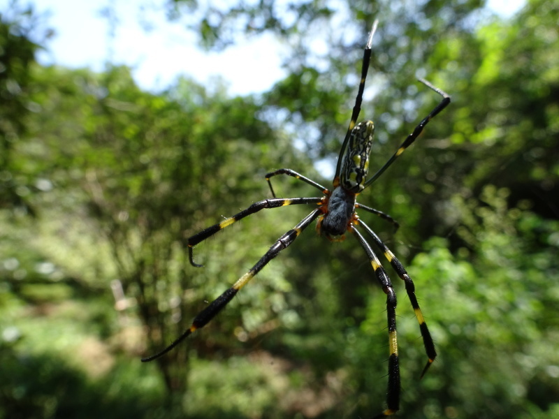 c0108460_20495562.jpg