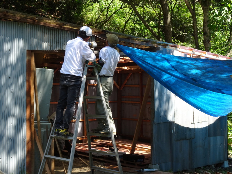 機械作業小屋つくりに専念・・・孝子の森_c0108460_20564584.jpg