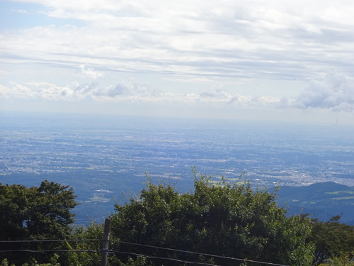 e0124473_17342861.jpg