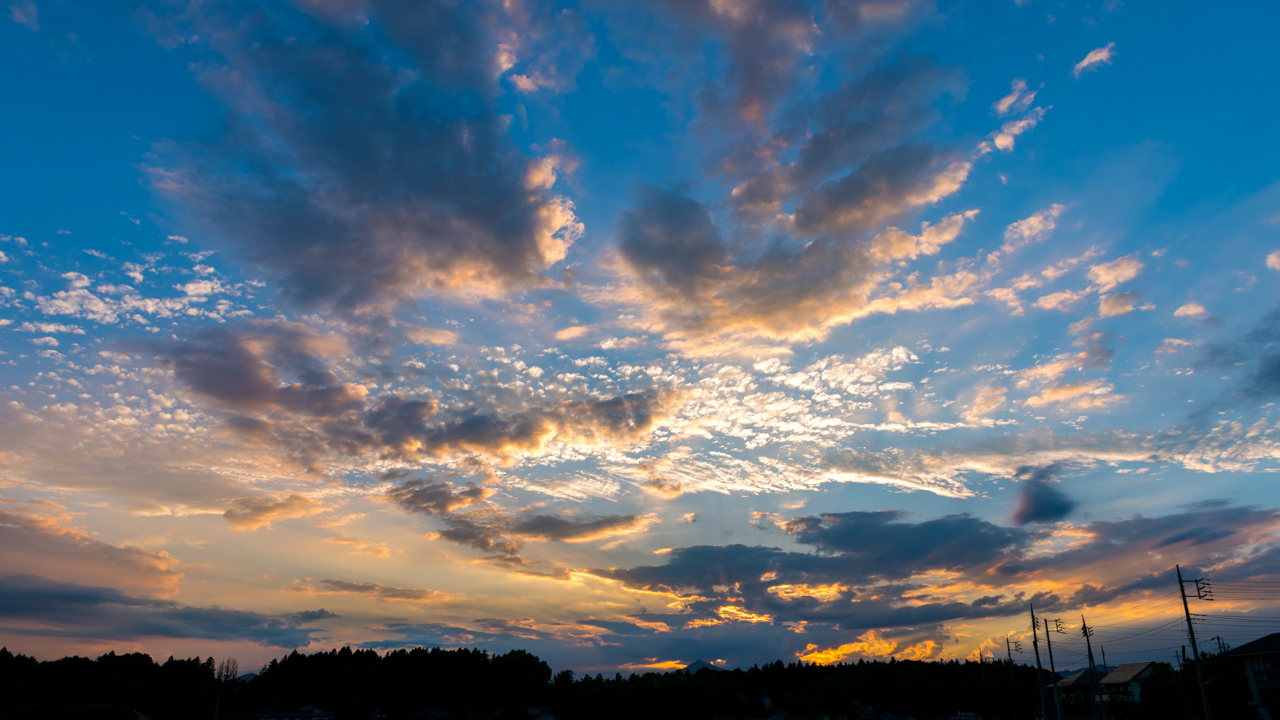 夕焼け雲と白い雲 猫と夕焼け