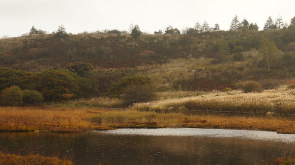 f0235376_865493.jpg