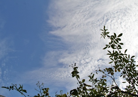 e0154682_21442132.jpg