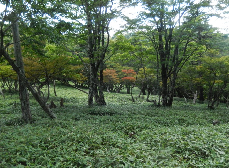 c0144185_1048592.jpg