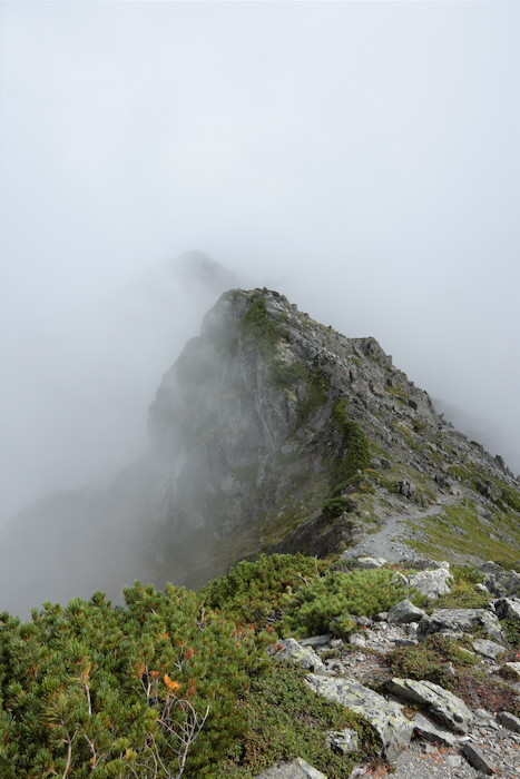 b0339488_17003734.jpg