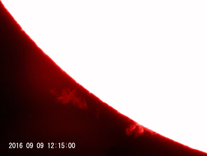 8月9日の太陽_e0174091_14403548.jpg