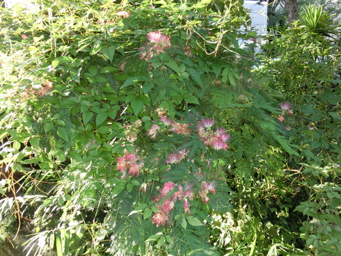 e0159192_1712437.jpg