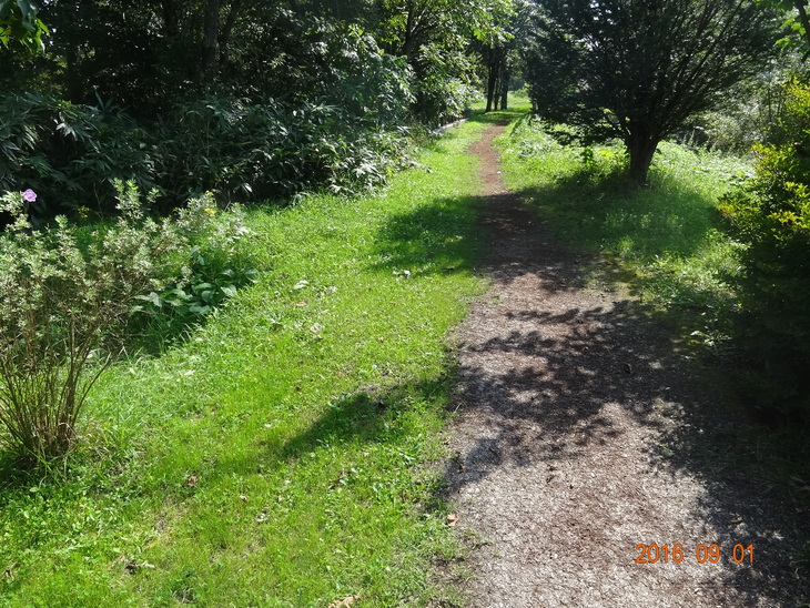 秋、ノルディックウォーキングを楽しむ。