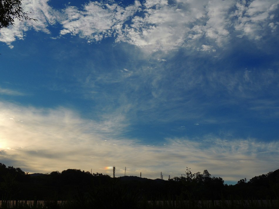 c0265095_2282160.jpg