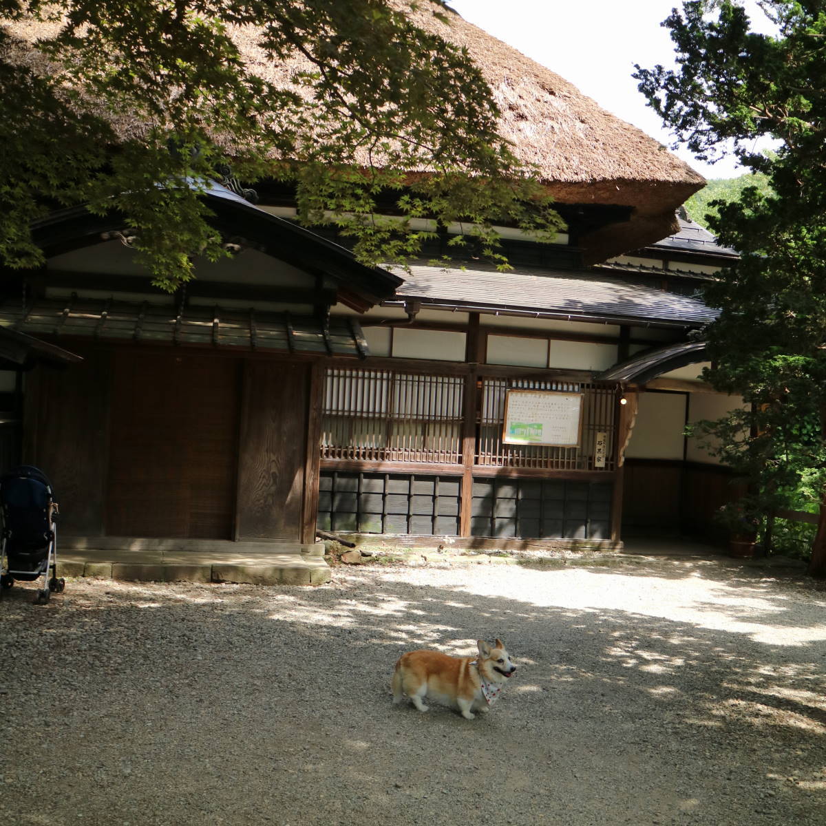 f0075595_23574565.jpg