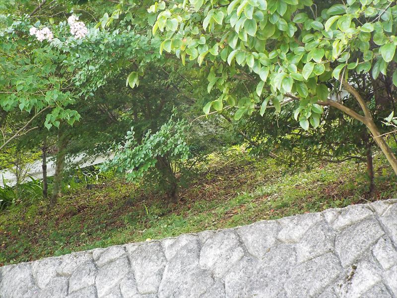 c0108198_16281451.jpg