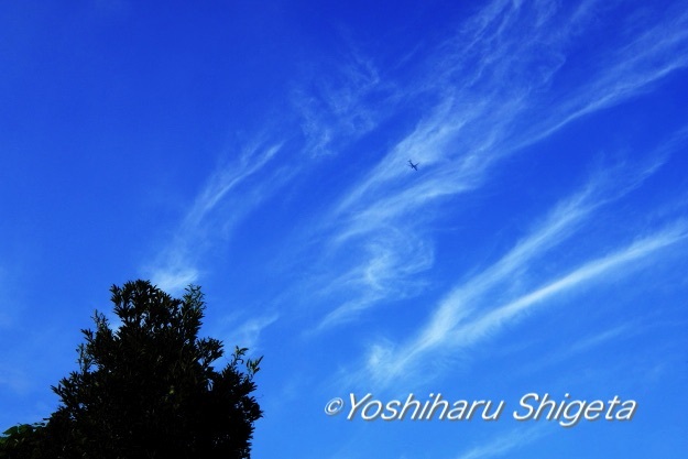 〜Autumn sky〜_c0152400_07232622.jpg