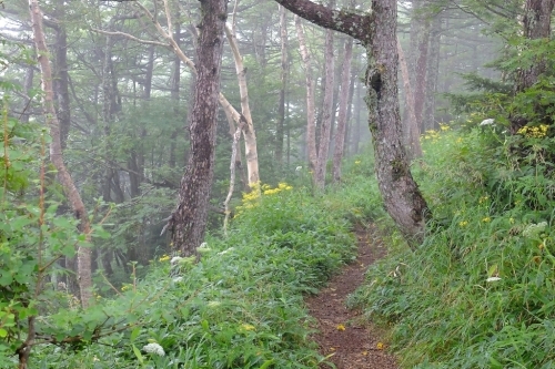 e0304001_13444127.jpg