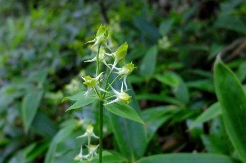 e0304001_13450064.jpg