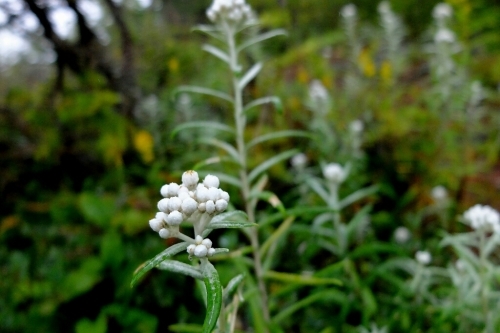 e0304001_13490852.jpg