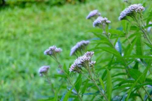 e0304001_13491829.jpg