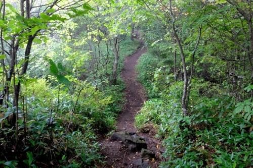 e0304001_13492542.jpg