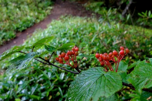 e0304001_20001171.jpg