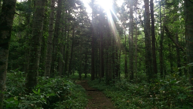 f0371701_13402885.jpg