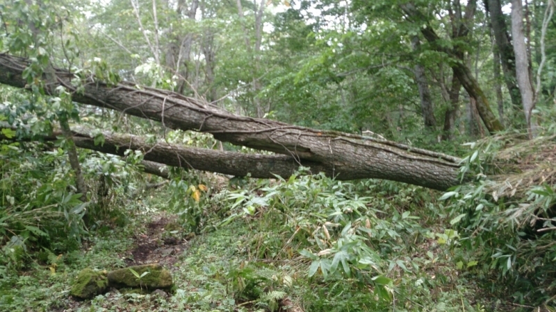 f0371701_13403398.jpg