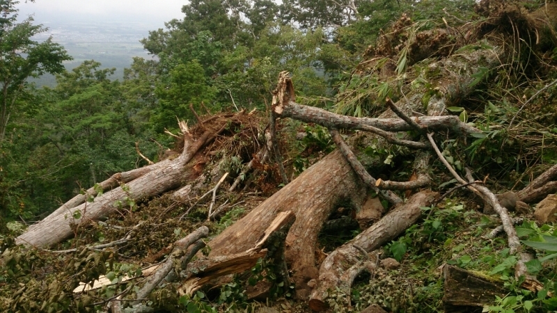 f0371701_13403979.jpg