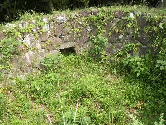 f0187402_19553522.jpg