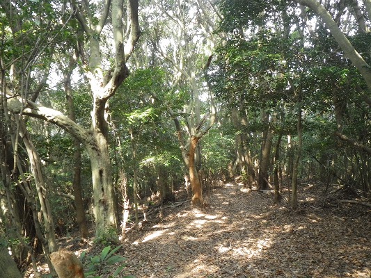 f0187402_19554424.jpg