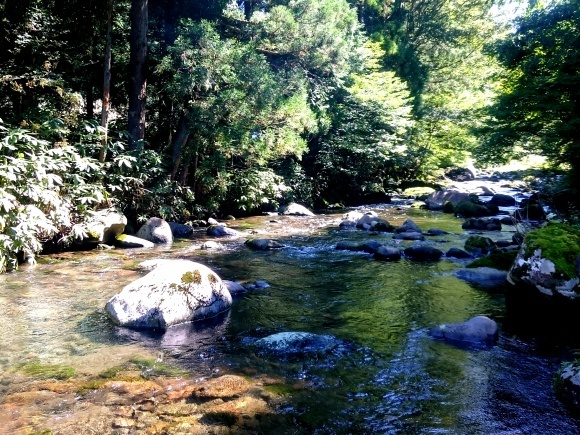 f0266202_21255759.jpg