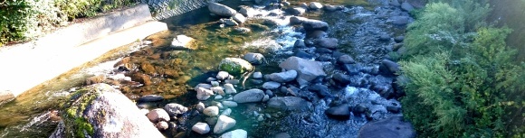 f0266202_21265901.jpg